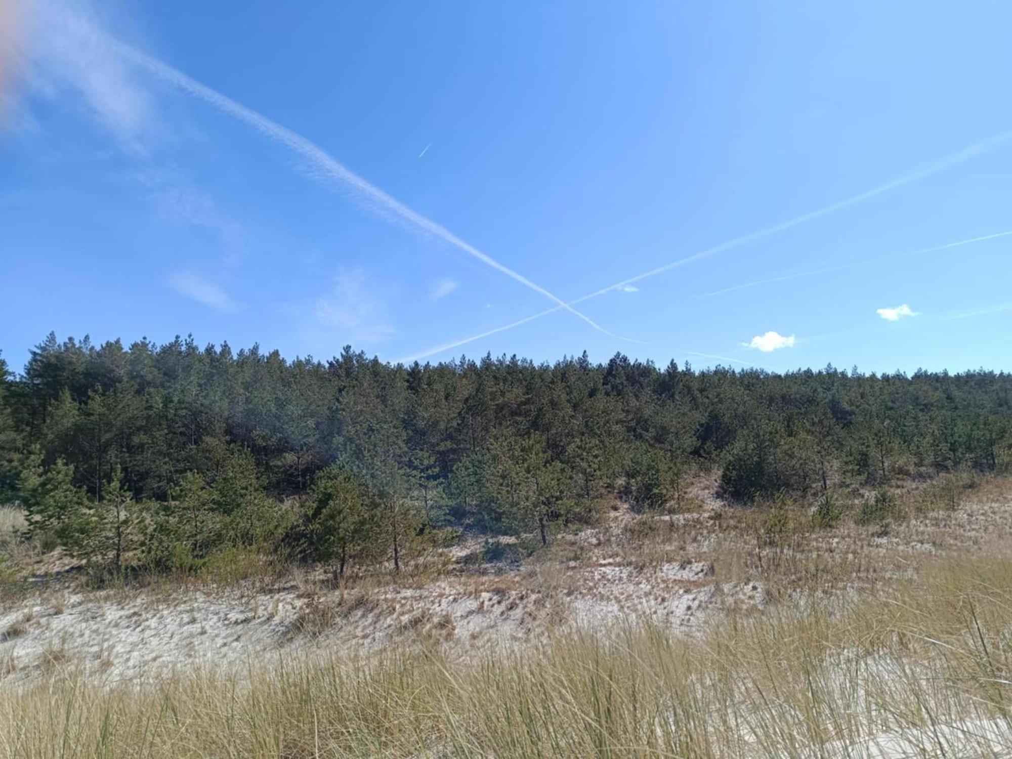 Jeszcze Bardziej Dziki Sad Villa Slajszewo Luaran gambar