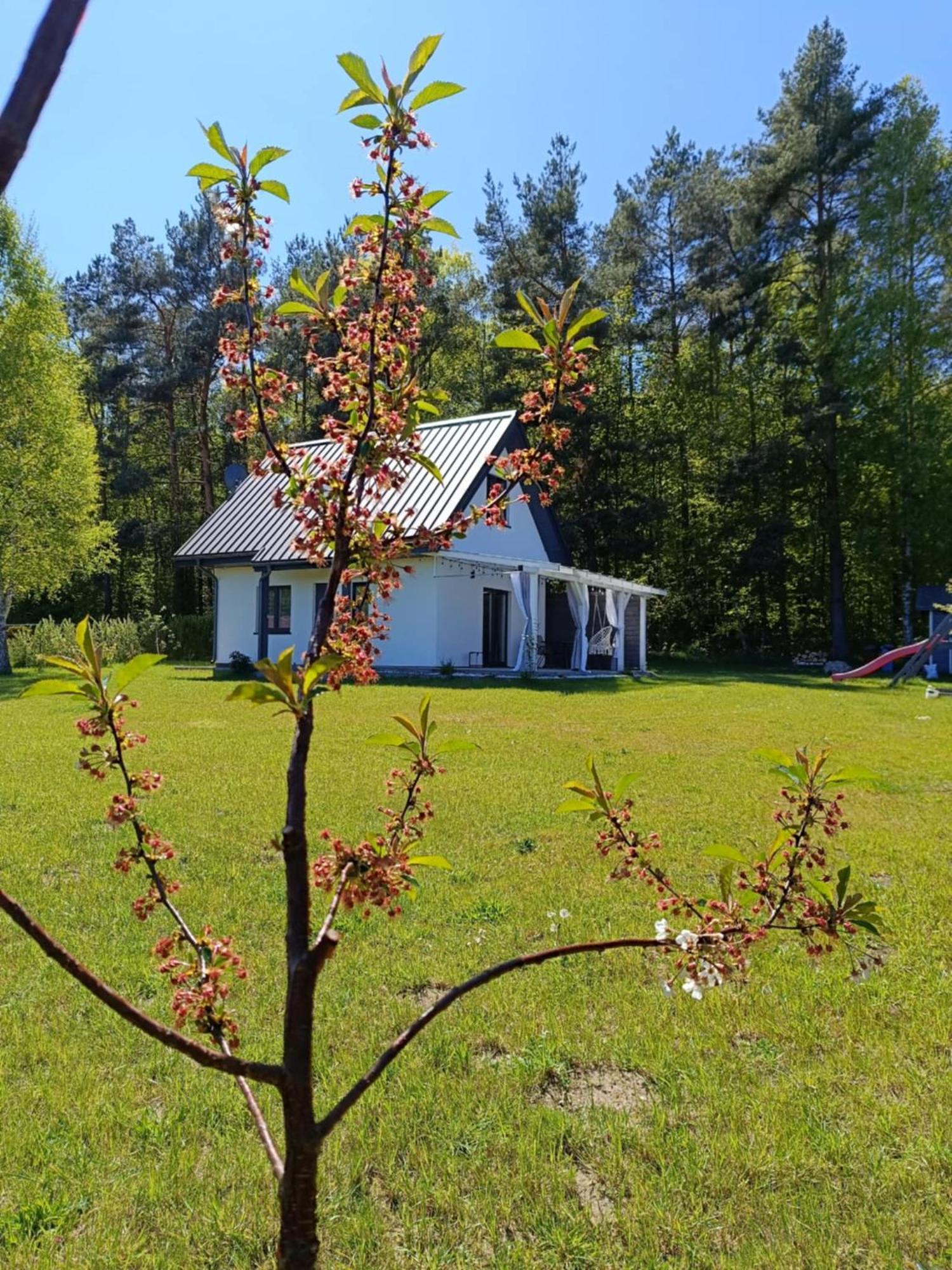 Jeszcze Bardziej Dziki Sad Villa Slajszewo Luaran gambar